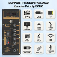 Módulo Amplificador de Altavoz Activo con Carro, Placa Decodificadora de Audio para Altavoz Autoamplificado
