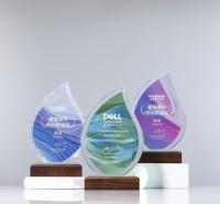 Excellente reconnaissance de prix progressive Trophées en bois massif Médailles et plaques Couleur cristal Imprimé Belle gravure Souvenir