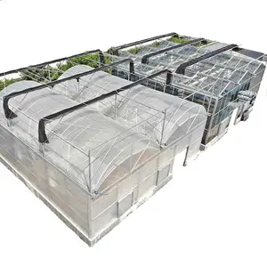 30 x 100 greenhouse Agriculture Projects aluminium profiles greenhouse aquaponic system farm hydroponic