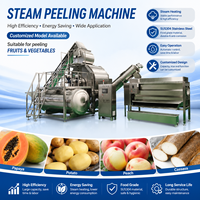 Hoge capaciteit stoomschiller aardappel schilmachine automatische fruit- en groenteverwerkingsapparatuur