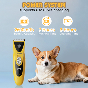 Ptpro PT305 fabrika elektrikli sessiz Pet saç düzeltici şarj edilebilir seramik bıçak köpek tıraş akülü kedi bakım ürün kiti - Product Image 6