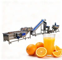 Ligne de production automatique de jus de fruits avec machine de pasteurisation, de remplissage et de bouchage pour la fabrication de boissons