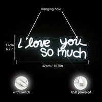Enseigne néon murale sur mesure avec transformateur pour bandes LED, idéale pour la publicité, la décoration de maison, de mariage, de fête ou de parc (étanche IP65)