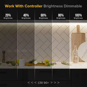 Bande LED COB à prix usine, DC 12V 24V, pour décoration de meubles et armoires, ruban LED flexible. - Product Image 5