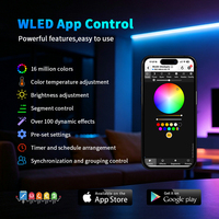 JIUAN Nuevo GL-C-116WL-RF ESP32 WLED Controlador LED Digital con Doble Relé y Fusible, Control Remoto WiFi 2.4G, 50m, 480W, Control por Grupo