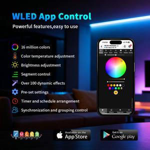 JIUAN New GL-C-116WL-RF ESP32 WLED Digital LED <strong>Controller</strong> Dual Relay Fuse 2.4G WiFi Remote Controlling 50m 480W Group Control - Product Image 3