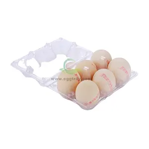 Transparent Clamshell 6 cell plastic egg tray box carton