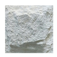 Panneau mural en pierre artificielle léger et isolant moderne 2024, pierre champignon 3D 600x600mm, ignifuge, imperméable, écologique