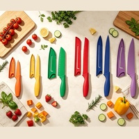 Ensemble de 6 couteaux de cuisine professionnels écologiques et durables en acier inoxydable, couteau Santoku, poignées ambidextres, revêtement antiadhésif