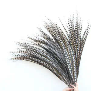 Alta qualidade 110-120 cm 44-48 polegadas, tamanho longo senhora amherst pheasant dyed feathers para carnaval venda