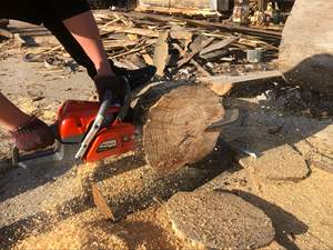 Entrega rápida 58cc MOTOSIERRA DE LA MEJOR CALIDAD PT998 - Product Image 6