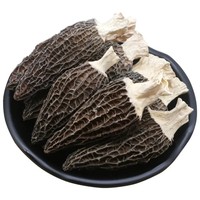 Morilles de qualité supérieure à prix préférentiel, morilles cultivées, morilles séchées biologiques