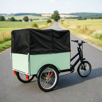 Bicicleta de Carga Pesada con Caja Trasera, Bicicleta de Reparto, Triciclo, Carro Tuk Tuk, Remolque, Furgoneta, Camión Eléctrico de Comida, Kiosco Móvil
