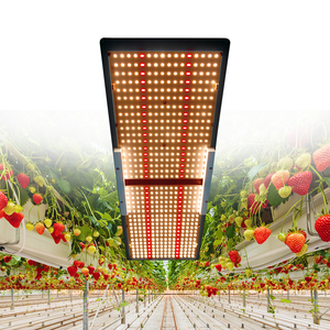 QB288 240W <span class=keywords><strong>LED</strong></span> <span class=keywords><strong>grow</strong></span> light board Samsung LM301h/ 301b uv ir 3000K 4000K lámparas de cultivo doméstico - Product Image 1