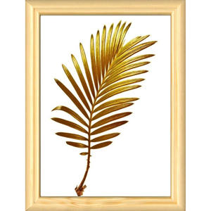 Marco MORESCO 15M 50X70CM NATURAL CRILEX - Product Image 1
