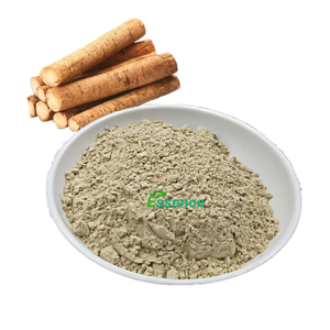 Alimentos saludables de alta calidad, gran polvo de raíz de <span class=keywords><strong>bardana</strong></span>/polvo de botón adhesivo, suplementos nutricionales en polvo de Arctium lappa - Product Image 2