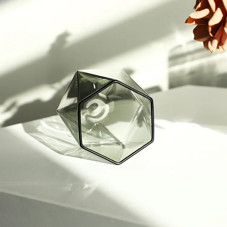 Jarrón de cristal de diseño nórdico de lujo Simple moderno para Decoración de mesa del hogar Material de borosilicato precio de fábrica al por mayor