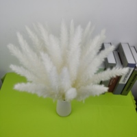 30 Tiges Blanc Séché Pampas Herbe Boho Vintage Mariage & Noël Décor Home Decor Cadeau Présent