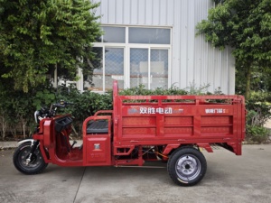 Tricycle électrique Sunsen 1,6 m, <span class=keywords><strong>moto</strong></span> <span class=keywords><strong>cargo</strong></span> à trois roues, tricycle électrique pour le transport de marchandises - Product Image 3