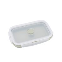 Boîte à lunch pliable de vente chaude Boîte à lunch étanche réutilisable