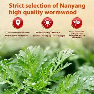 Perlengkapan Terapi Rehabilitasi Pasokan Pabrik Plester Lutut Wormwood Panas & Dingin untuk Meredakan Nyeri Sendi pada <span class=keywords><strong>Arthritis</strong></span> Lutut - Product Image 3