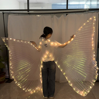 Nouvelles ailes lumineuses LED pour spectacle de danse orientale, accessoires fluorescents, ailes lumineuses blanc chaud pour adultes, costume de danse du ventre, fête d'Halloween