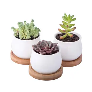 Высококачественный набор из 3 мини-горшков для растений из белой керамики и суккулентов с бамбуковыми основаниями