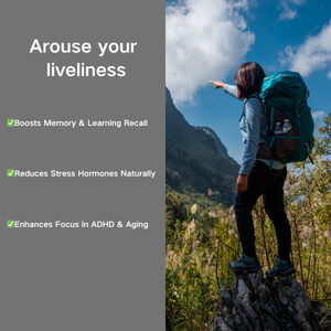 Capsules cérébrales de phosphatidylsérine-Fabricant de capsule le plus vendu, Supplément de force cérébrale - Product Image 2