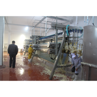 Machine d'abattage et d'épluchage de volaille (canards, poulets, etc.) à haute efficacité pour abattoir