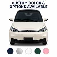 SUV Électrique Compact Personnalisable avec Entrée NFC, Audio Bluetooth, Prix de Gros Direct Usine