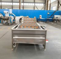 Commerciële groentewasmachine 304 roestvrij staal luchtbel fruitwasser industriële voedselverwerkingsapparatuur