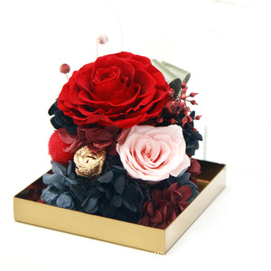 Ayoyo2025 Topverkoper Valentijnsdag Cadeau Decoratie Eeuwige Bloem Acryl Bloembak Geconserveerde Rozen - Product Image 4