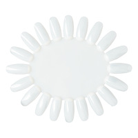 Roue d'affichage de 20 ongles pour la pratique de l'art des ongles, forme ronde en plastique, nuancier de vernis à ongles