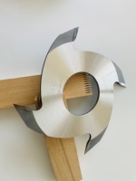160mm empilable carbure TCT doigt Joint Shaper tête de coupe pour bois broche Mouder doigt dégauchisseuse Machine 2T