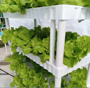 A Type Hydroponic System Vertical Hydroponic NFT System Vertical Multilayer Growing <b>Rack</b> Leaf Vegetables <b>for</b> Greenhouse Lettuces - Product Image 4