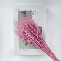 Offre Spéciale : Fleurs Séchées Décoratives – 50 Pièces/Bouquet, Couleurs Variées pour Mariages, Remises de Diplômes, Fête des Mères, Décorations de Noël