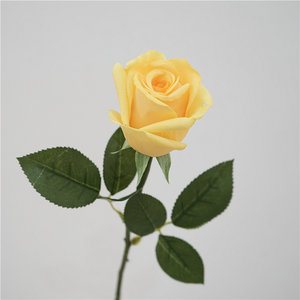 Nouvelles fleurs artificielles de <span class=keywords><strong>rose</strong></span> rouge 2026, kit de roses <span class=keywords><strong>La</strong></span> <span class=keywords><strong>Belle</strong></span> <span class=keywords><strong>et</strong></span> <span class=keywords><strong>la</strong></span> Bête, <span class=keywords><strong>rose</strong></span> rouge unique pour arrangement floral artificiel - Product Image 6