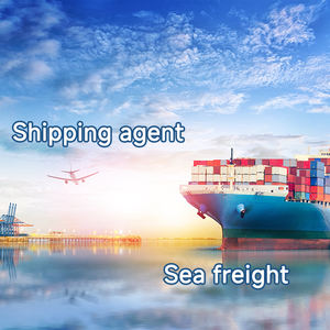 Agente marítimo experimentado de China a <span class=keywords><strong>Moroni</strong></span> desde Guangzhou Shanghai Qingdao Tianjin Ningbo a las Islas Comoras Envío marítimo - Product Image 2
