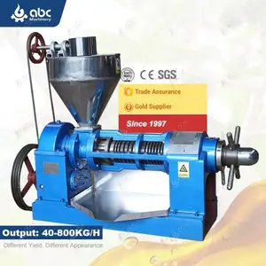 High Productivity Screw Peanut Soybean Peanut Oil Press Machine for Making Oil from Castor,Sesame,Mustard,Groundnut,Moringa Seed