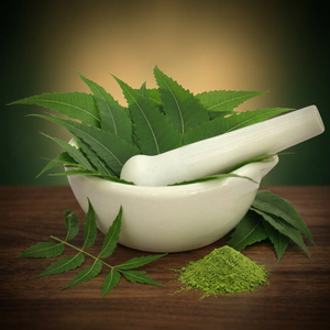 Fabricant d'extrait de feuilles de Neem en gros, fournisseur de poudre d'extrait de Neem de qualité, fournisseur de poudre de feuilles de Neem - Product Image 1