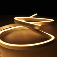 Luz de neón LED IP67 flexible de tamaño 1015 para cocina de hotel iluminación decorativa al aire libre