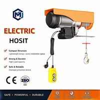 Mini-treuil électrique sans fil CE à assemblage rapide, 110V/220V, antirouille, 100 kg, pour garage, commerce, entrepôt, ferme