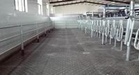 Almohadillas de Goma Estables de Alta Calidad de 1.22m * 1.83m, Cortadas a Medida, para Caballos y Ganado, Hechas en China