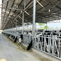 Kandang Sapi Klasik Eropa Model Universal untuk Peternakan Eropa, Pengunci Kepala Sapi Sistem Penguncian Otomatis untuk Pemberian Pakan