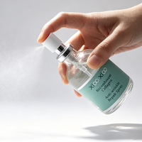 Brume Tonique Hydratante en Gros pour Voyage, Format Voyage, Rafraîchissement Quotidien, Soin Visage Revitalisant pour le Bureau