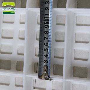 Plancher à lamelles en plastique de 1200x500x40mm, pour volaille, plancher en plastique pour l'élevage - Product Image 5
