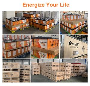 Desbloquee una Vida Útil Más Larga y Sin Preocupaciones para Su Sistema Solar. Actualice a una batería LiFePO4 de 1.2 kWh y 208 Ah <span class=keywords><strong>que</strong></span> no requiere mantenimiento. - Product Image 4