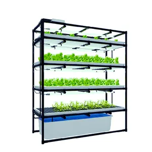 Giá Trồng Rau Thủy Canh Tự Làm Trong Nhà, Microgreens Với Đèn Led Trồng Cây