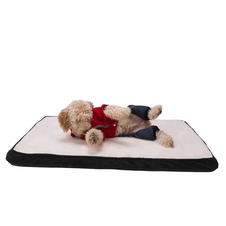 Doxford-cama de felpa larga para perro, accesorios para mascotas, felpa larga con relleno de esponja, venta al por mayor, 210