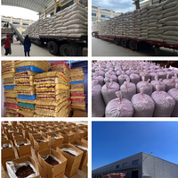 Venta al por mayor de anís estrellado, Chakraphool seco, semillas tamizadas de anís estrellado orgánico, anís estrellado de China, especias individuales de alta calidad
